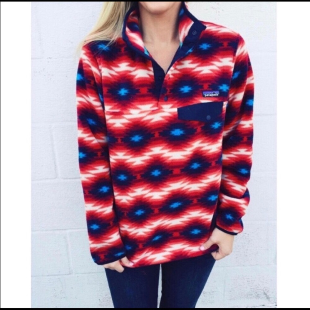 Patagonia Wild Desert